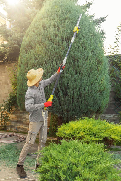  South Dennis, NJ Tree Removal and Landscaping Services Pros